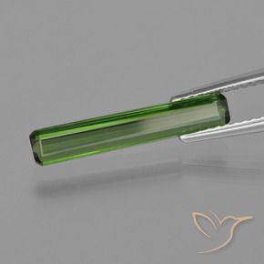 Tourmaline Vert moyen naturelle Octogone / coupe Émeraude, 1.21 ct, VS