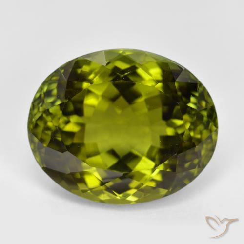 12.25ct Naturel Vert foncé Tourmaline, ovale, VVS-VS