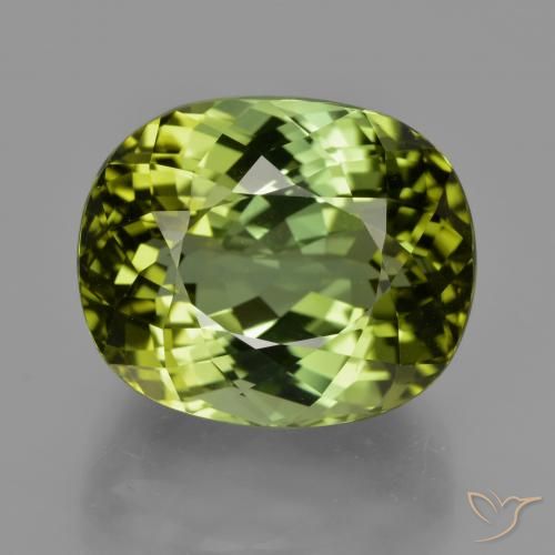 Tourmaline Forêt verte naturelle ovale, 24.08 ct, VVS