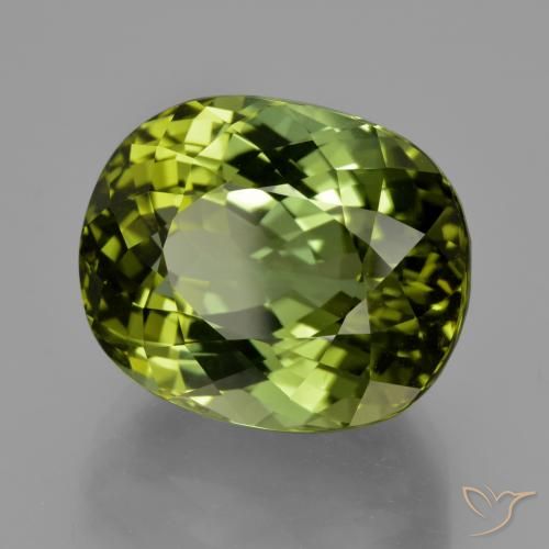 Tourmaline Forêt verte naturelle ovale, 24.08 ct, VVS