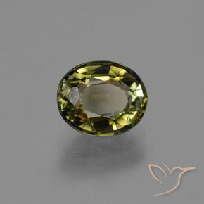 Tourmaline Vert brunâtre naturelle Coupe ovale, 1.09 ct, VS