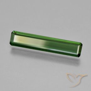 Tourmaline Vert foncé naturelle Octogone / coupe Émeraude, 1.56 ct, VS