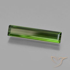 Tourmaline Vert foncé naturelle Octogone / coupe Émeraude, 1.75 ct, VVS-VS