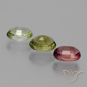 Shop natural 2.60ct Multicolore Tourmaline gems, ovale, from Mozambique at GemSelect. In stock, global shipping!
