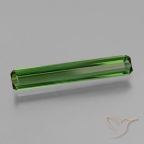 Tourmaline Vert moyen naturelle Octogone / coupe Émeraude, 1.54 ct, VVS