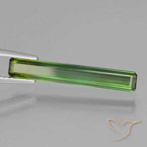 Tourmaline Vert moyen naturelle Octogone / coupe Émeraude, 1.47 ct, VVS