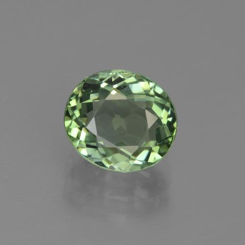 Tourmaline forêt verte naturelle coupe ovale, 2,44 ct, VVS