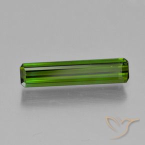 Tourmaline Vert foncé naturelle Octogone / coupe Émeraude, 1.06 ct, VS