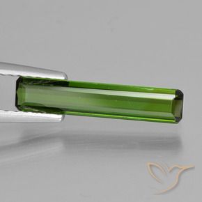 Tourmaline Vert foncé naturelle Octogone / coupe Émeraude, 1.07 ct, VVS-VS