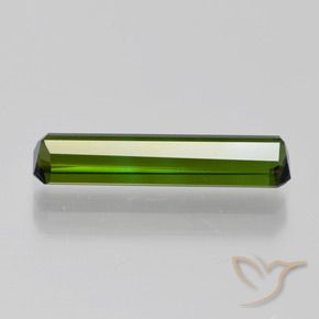 Tourmaline Vert foncé naturelle Octogone / coupe Émeraude, 1.82 ct, VVS
