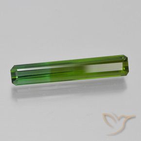 Tourmaline Vert foncé naturelle Octogone / coupe Émeraude, 1.66 ct, VS