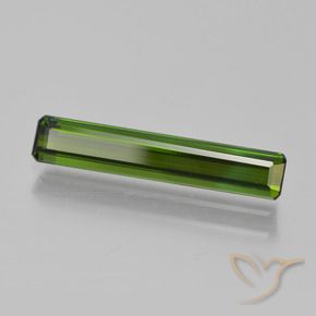 Tourmaline Vert forêt profond naturelle Octogone / coupe Émeraude, 1.79 ct, VVS