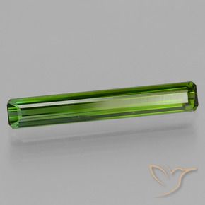Tourmaline Vert foncé naturelle Octogone / coupe Émeraude, 1.72 ct, VVS-VS