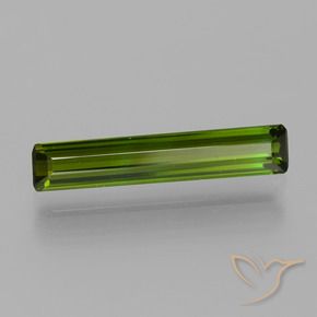 Tourmaline Vert moyen-foncé naturelle Octogone / coupe Émeraude, 1.55 ct, VVS-VS
