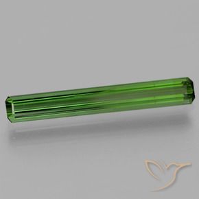 Tourmaline Vert moyen-foncé naturelle Octogone / coupe Émeraude, 1.67 ct, VVS-VS
