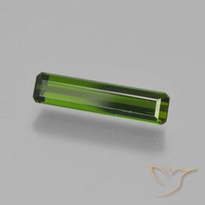Tourmaline Forêt verte naturelle Octogone / coupe Émeraude, 0.91 ct, VVS