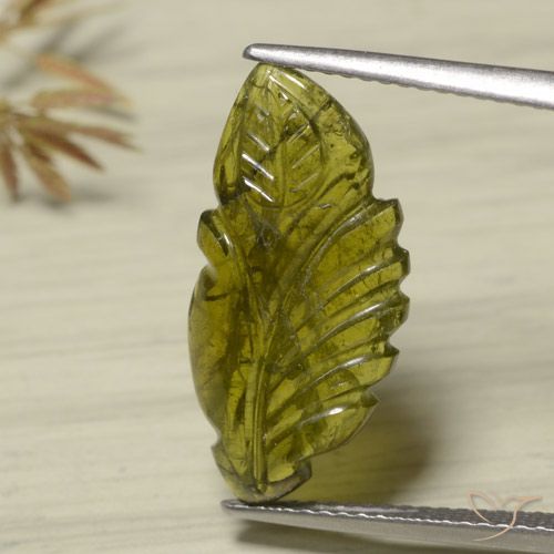 4.75ct Naturel Vert chaud Tourmaline, Fantaisie, Translucide