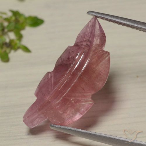 7.02ct Naturel Bicolore Tourmaline, Fantaisie, Translucide