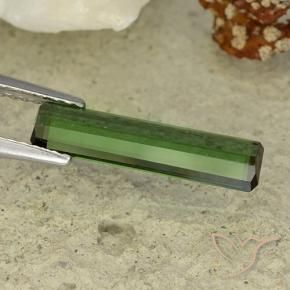 Tourmaline Forêt verte naturelle Octogone / coupe Émeraude, 1.47 ct, VVS