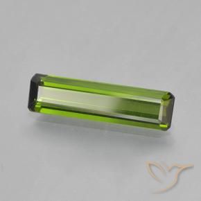 Tourmaline Vert algues marines naturelle Octogone / coupe Émeraude, 1.45 ct, VVS-VS