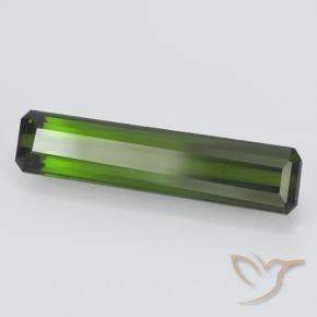 Tourmaline Vert forêt profond naturelle Octogone / coupe Émeraude, 2.35 ct, VVS-VS