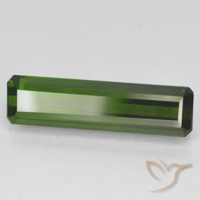 Tourmaline Vert foncé naturelle Octogone / coupe Émeraude, 3.42 ct, VVS