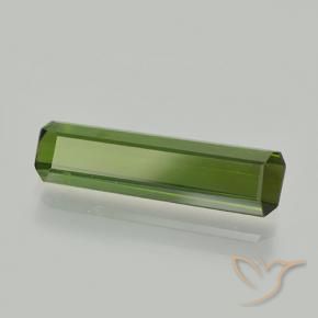 Tourmaline Vert foncé naturelle Octogone / coupe Émeraude, 1.60 ct, VVS-VS