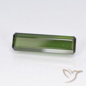Tourmaline Vert algues marines naturelle Octogone / coupe Émeraude, 2.55 ct, VVS-VS