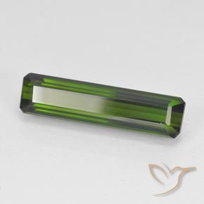 Tourmaline Vert foncé naturelle Octogone / coupe Émeraude, 3.44 ct, VVS-VS