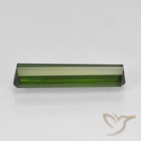 Tourmaline Vert foncé naturelle Octogone / coupe Émeraude, 1.70 ct, VVS