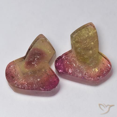 33.04ctw Naturel Bicolore Tourmaline, Fantaisie, Transparent