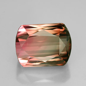 Tourmaline multicolore naturelle forme fantaisie, 5,27 ct, VVS