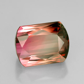 Tourmaline multicolore naturelle forme fantaisie, 5,27 ct, VVS