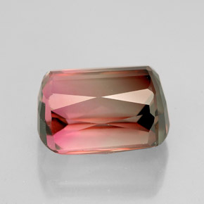 Tourmaline multicolore naturelle forme fantaisie, 5,27 ct, VVS