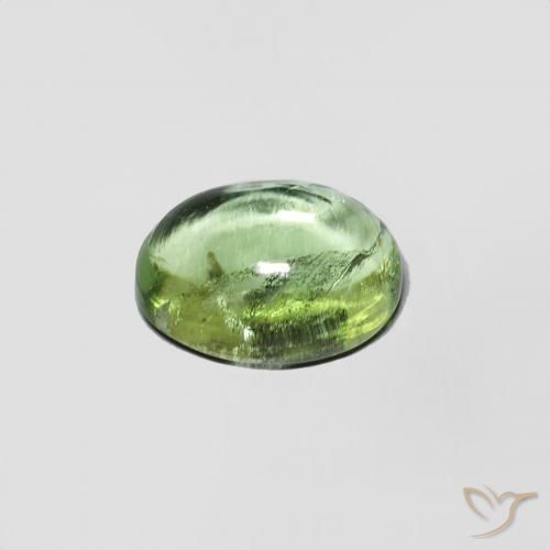 Tourmaline Vert chaud naturelle ovale, 1.44 ct, Transparent
