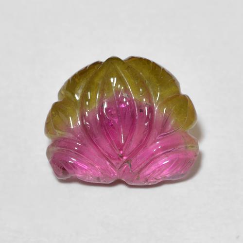 3.93ct Naturel Bicolore Tourmaline, Fantaisie, Transparent