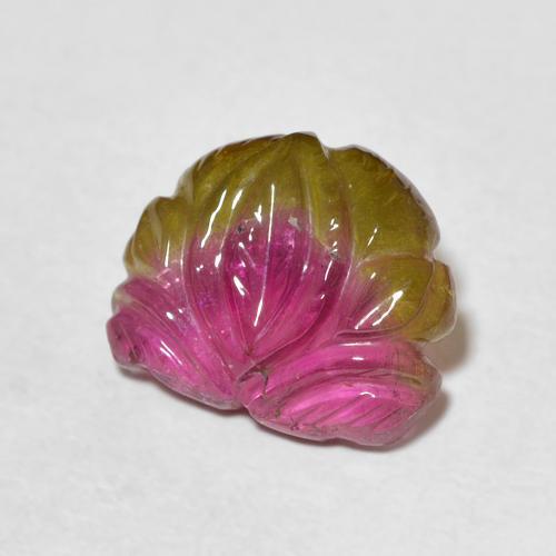 Tourmaline Bicolore naturelle Fantaisie, 3.93 ct, Transparent