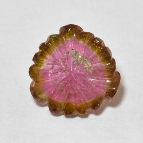 5.37ct Naturel Pastèque Tourmaline, Taille Fleur, Transparent