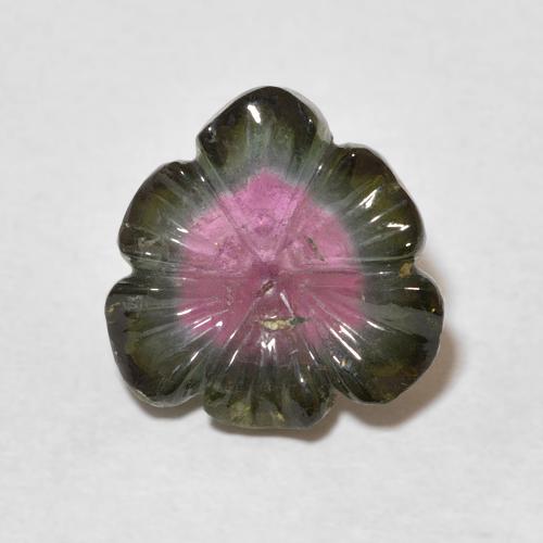 5.23ct Naturel Pastèque Tourmaline, Taille Fleur, Transparent