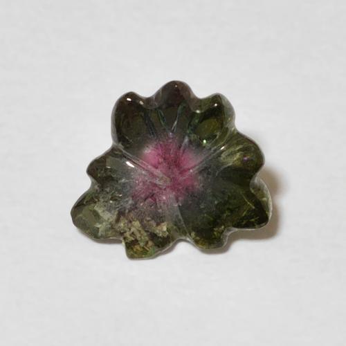 1.00ct Naturel Pastèque Tourmaline, Taille Fleur, Transparent
