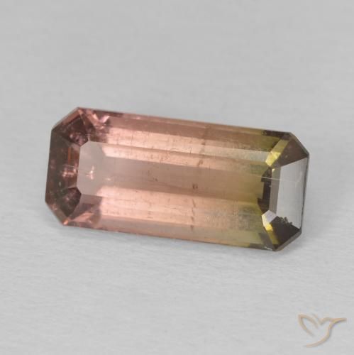 Tourmaline Bicolore naturelle Octogone / coupe Émeraude, 3.60 ct, SI