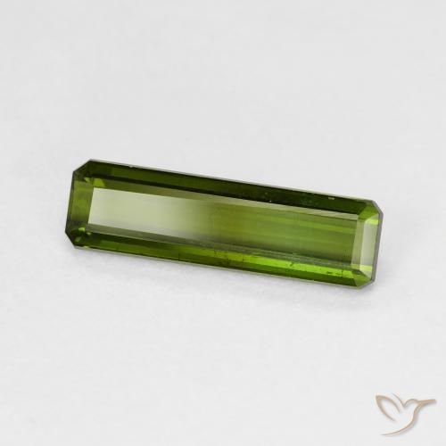 Tourmaline Vert terreux naturelle Octogone / coupe Émeraude, 1.52 ct, VS