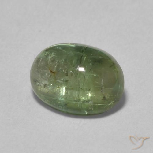 Tourmaline Vert moyen naturelle ovale, 1.52 ct, Transparent