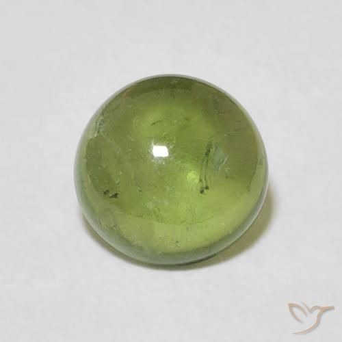 1.57ct Naturel Vert forêt léger Tourmaline, Tour, Transparent
