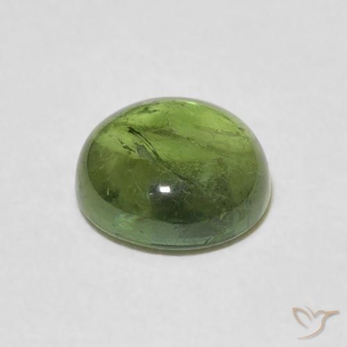 Tourmaline Vert forêt léger naturelle Tour, 1.57 ct, Transparent