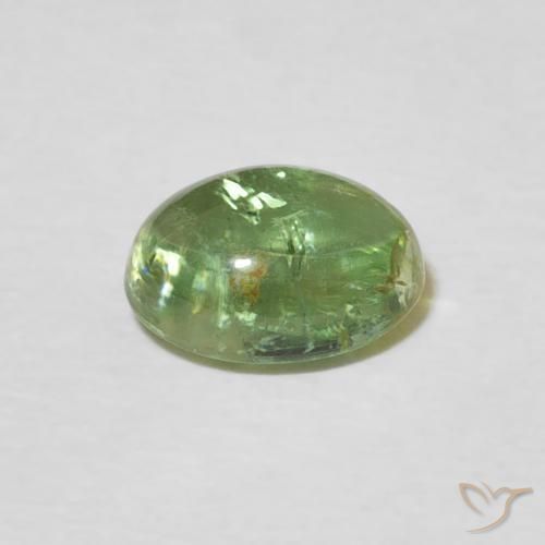 Tourmaline Vert moyen naturelle ovale, 1.51 ct, Transparent