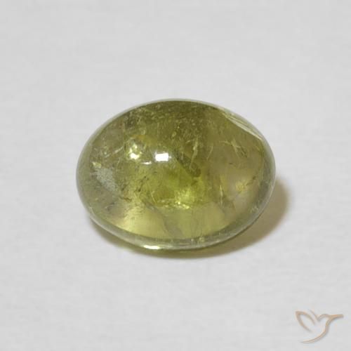 1.70ct Naturel Vert jaunâtre Tourmaline, ovale, Transparent