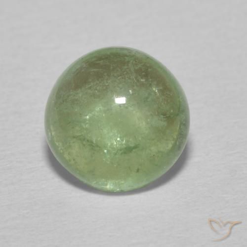 1.49ct Naturel Vert terre pâle Tourmaline, Tour, Transparent
