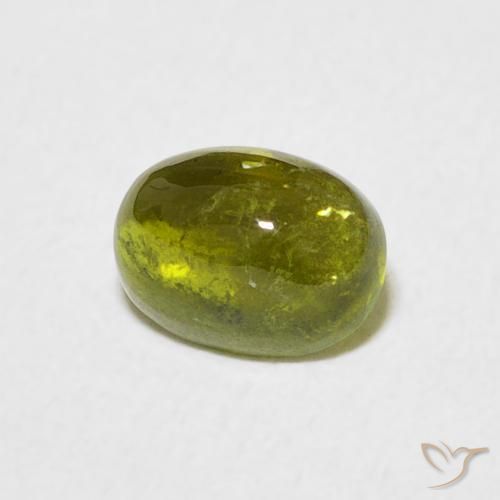 Tourmaline Vert forêt chaud naturelle ovale, 0.80 ct, Transparent