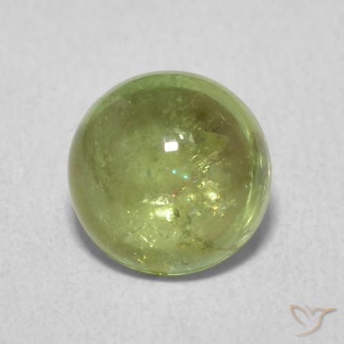 1.61ct Naturel Olive verte Tourmaline, Tour, Transparent